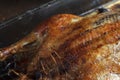 Roasted Barbery Duck Royalty Free Stock Photo