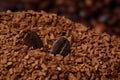 Roasted beans on pile of dry instant coffee, closeup view Royalty Free Stock Photo