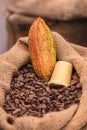Roasted beans or seeds of Theobroma cacao or cocoa in a jute sack with a ripe fruit Royalty Free Stock Photo