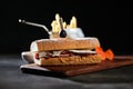 Roasted Beef Sub Sandwich with french fries bucket served on wooden board isolated on dark background side view of breakfast food Royalty Free Stock Photo