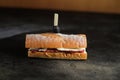 Roasted Beef Sub Sandwich isolated on dark background side view of breakfast food Royalty Free Stock Photo