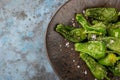 Roasted Blistered Shishito Peppers with Salt on blue grey background. Top view.