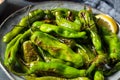 Roasted Blistered Shishito Peppers