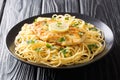 Roasted breaded chicken Francaise with a side dish of spaghetti close-up on a plate. Horizontal