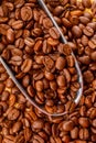 Roasted Brown coffee beans in metal scoop background Close Up