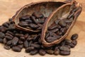 Roasted Cacao Beans Royalty Free Stock Photo