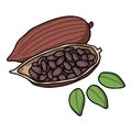 Roasted cacao beans icon in cartoon style isolated on white background. Herb an spices symbol stock vector illustration.