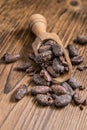 Roasted Cacao Beans Royalty Free Stock Photo