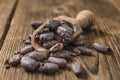 Roasted Cacao Beans Royalty Free Stock Photo