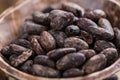 Roasted Cacao Beans Royalty Free Stock Photo