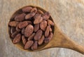 Roasted cacao beans in wooden spoon