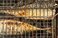 Roasted carcass fish mackerel cooked on the grill, top view, clo