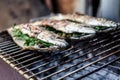 Roasted carcass fish mackerel cooked on the grill, top view, close-up