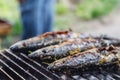 Roasted carcass fish mackerel cooked on the grill, top view, close-up