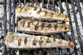 Roasted carcass fish mackerel cooked on the grill, top view, close-up