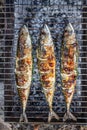 Roasted carcass fish mackerel cooked on the grill, top view, close-up