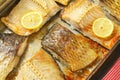 Roasted carp fillets Royalty Free Stock Photo