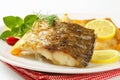 Roasted carp fillets Royalty Free Stock Photo