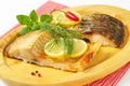 Roasted carp fillets Royalty Free Stock Photo