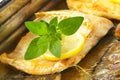 Roasted carp fillets Royalty Free Stock Photo