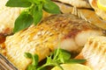 Roasted carp fillets Royalty Free Stock Photo