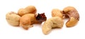 Cashew nuts. Royalty Free Stock Photo