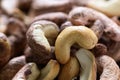 Roasted cashews on natural wooden table background Royalty Free Stock Photo