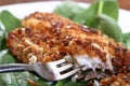 Roasted Catfish Filets Royalty Free Stock Photo