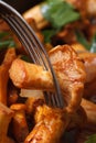 Roasted chanterelle mushrooms with a fork macro