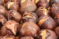 Roasted chestnut. Royalty Free Stock Photo