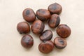 Roasted Chestnut Royalty Free Stock Photo