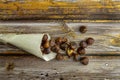 roasted chestnut cone typical of Spanish autumn and winter on a vintage