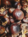 Roasted chestnut, fullframe