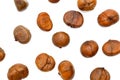 Roasted chestnut isolated on white background ,top view Royalty Free Stock Photo