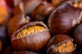 Roasted chestnut Royalty Free Stock Photo