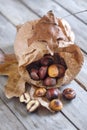 Roasted chestnut Royalty Free Stock Photo