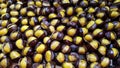 Roasted Chestnut Royalty Free Stock Photo
