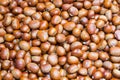 Roasted chestnut Royalty Free Stock Photo