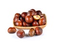 Roasted Chestnut on white background Royalty Free Stock Photo