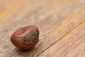 A roasted chestnut on a wooden table Royalty Free Stock Photo