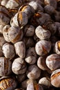 Roasted chestnuts Royalty Free Stock Photo