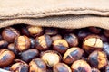 Roasted chestnuts in burlap bag. Chestnuts in jute