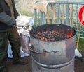 Roasted chestnuts. Color image