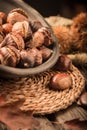 Roasted chestnuts and leaves Royalty Free Stock Photo