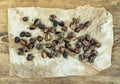 Roasted chestnuts on oily worn craft paper over rustic wooden background, top view. Royalty Free Stock Photo