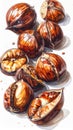 Roasted Chestnuts with Open Shells on White Background in Close Up Food Photography Royalty Free Stock Photo