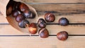 Roasted chestnuts  in a papaer bag Royalty Free Stock Photo