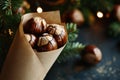 Roasted Chestnuts in a Paper Cone with Christmas Tree and Lights Royalty Free Stock Photo