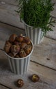 Roasted chestnuts in paper cup