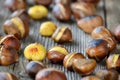 Roasted chestnuts Royalty Free Stock Photo